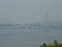 ���г����綶