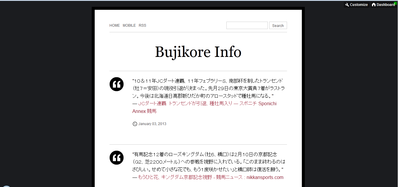 buji_info