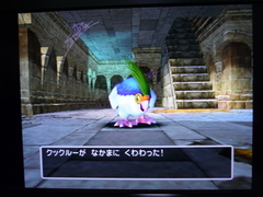 ���å��뤫��椹