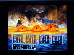 �ϴ丶�ͤ�̲��