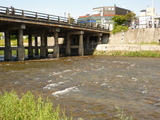kamo