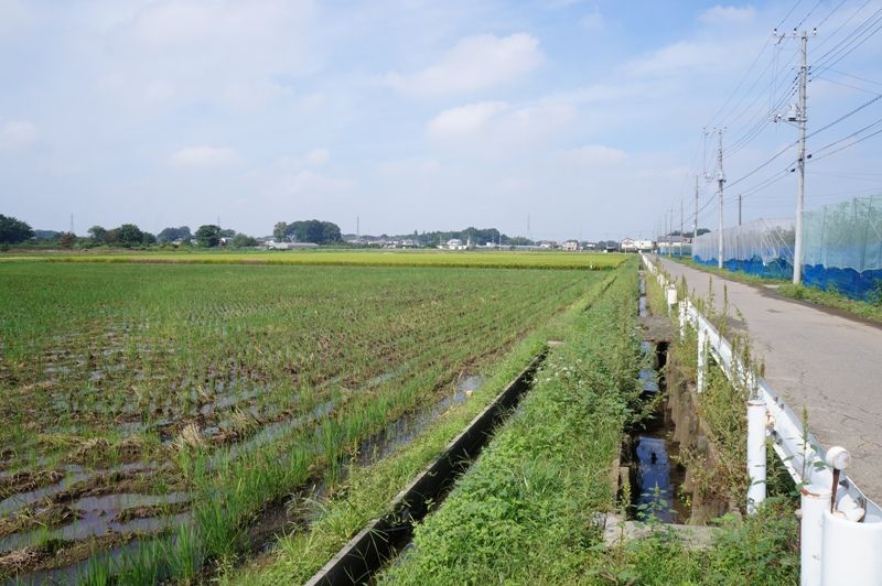 イメージ 8