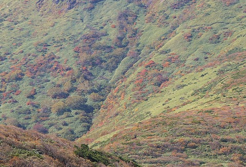 DSC08054