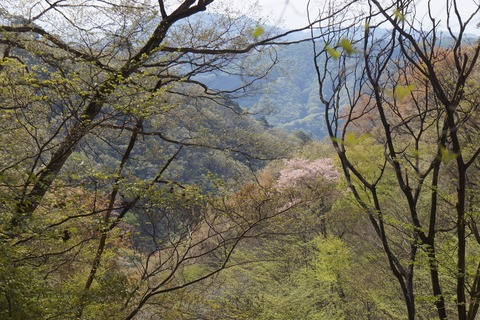 DSC00923