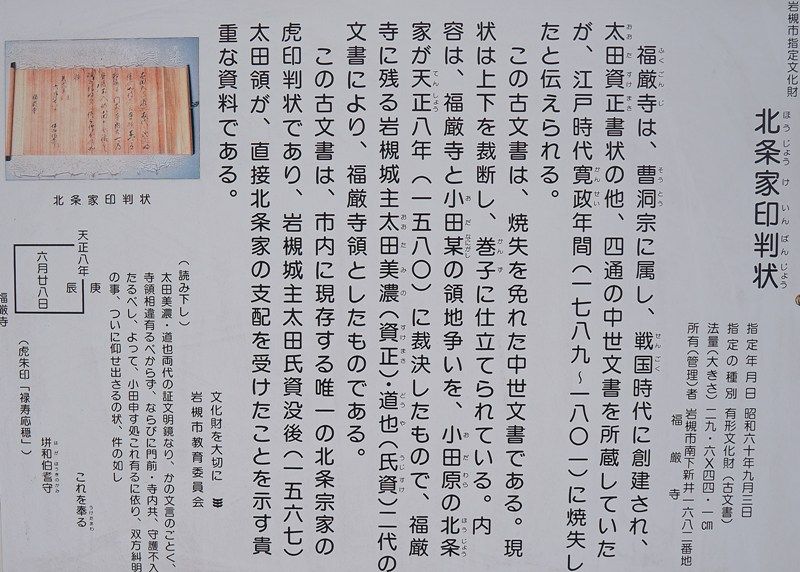 イメージ 8
