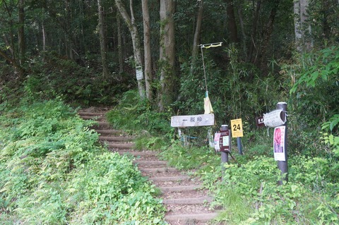 DSC07486