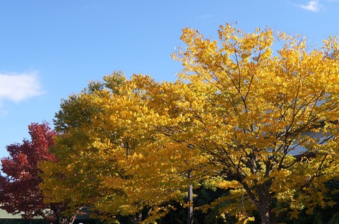 DSC02125