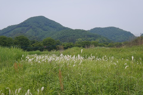 DSC07507