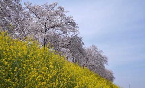 DSC04012