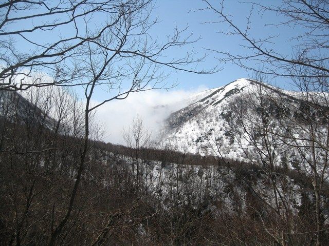 イメージ 7