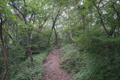 DSC07643
