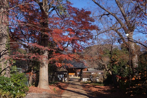 DSC09304