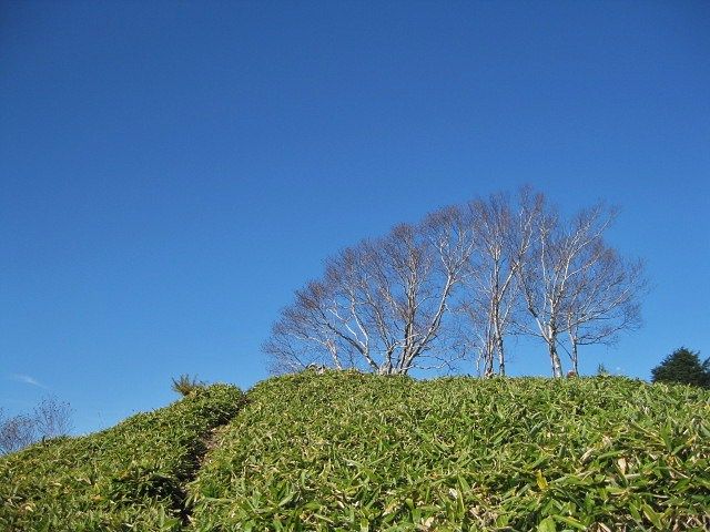 イメージ 10