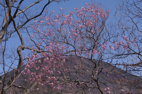 DSC01308