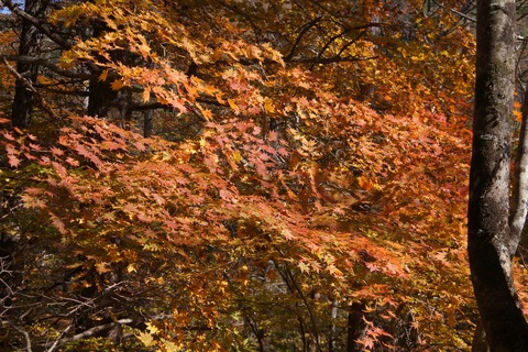 DSC02693