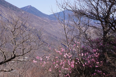 DSC01365