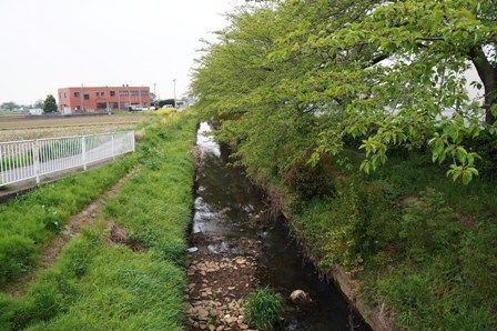 イメージ 9