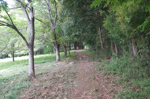 DSC07482