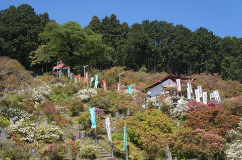 DSC07372