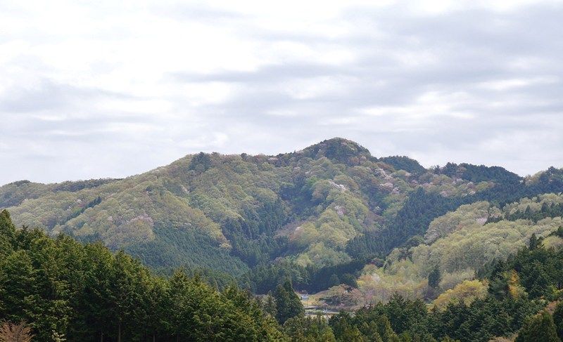 イメージ 9