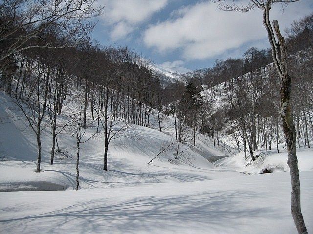 イメージ 17