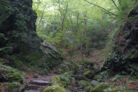 DSC02087