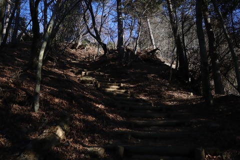 IMG_8880 - コピー