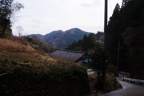 DSC09991