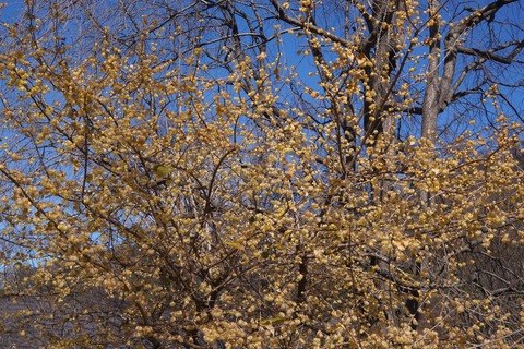 DSC09687