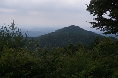 DSC02179