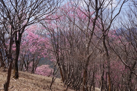 DSC01404