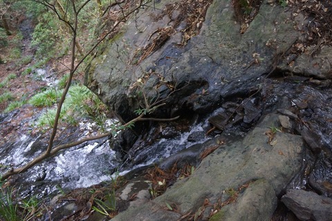 DSC00602