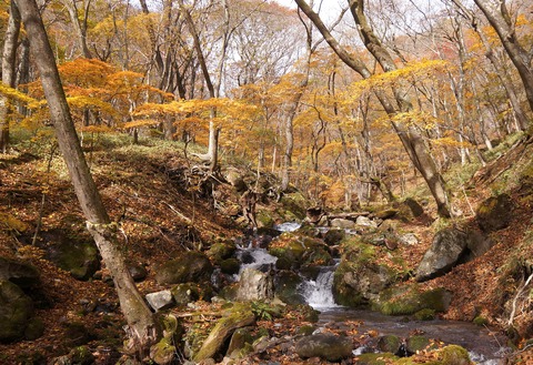 DSC02013