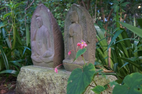 DSC01483