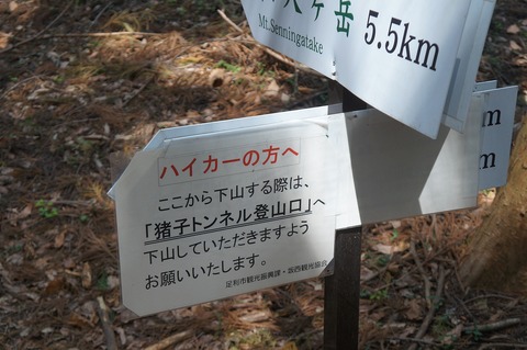 DSC07146