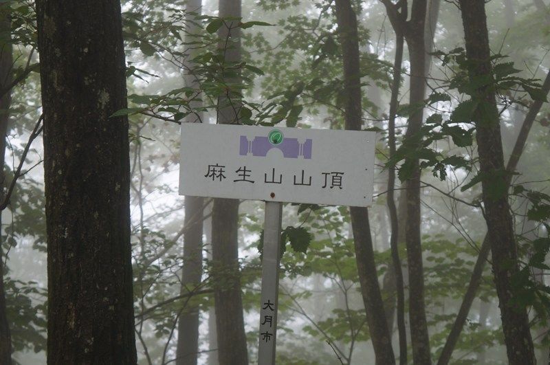 イメージ 11
