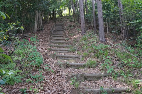 DSC07521