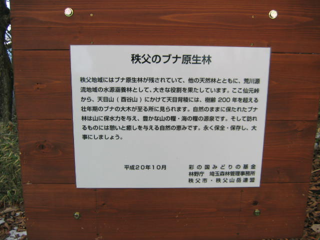 イメージ 16