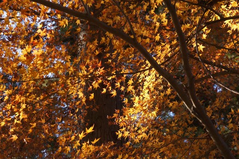 DSC03406