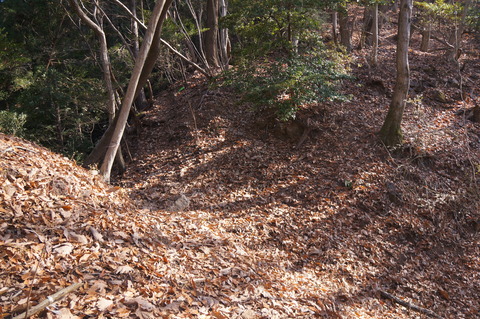 DSC03420堀切3