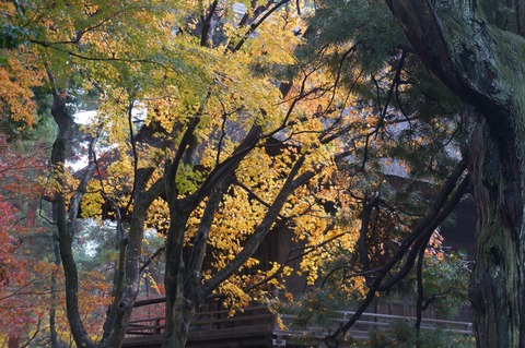 DSC09000