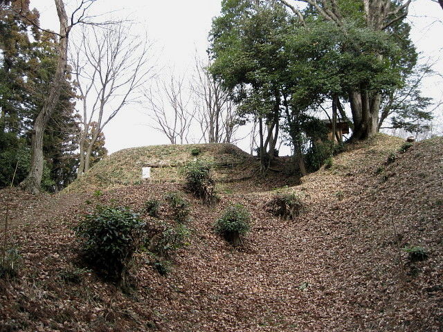 イメージ 13