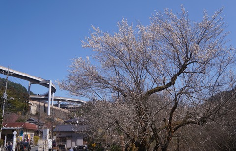 DSC00086