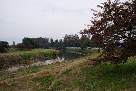 イメージ 19