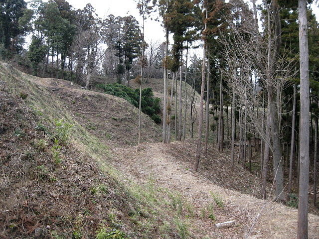イメージ 11