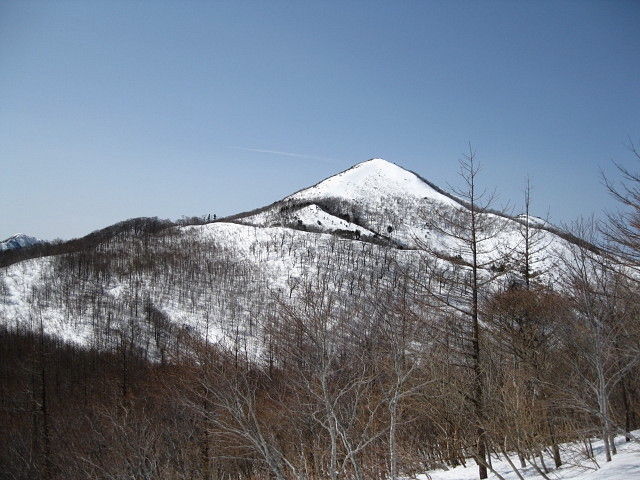 イメージ 16