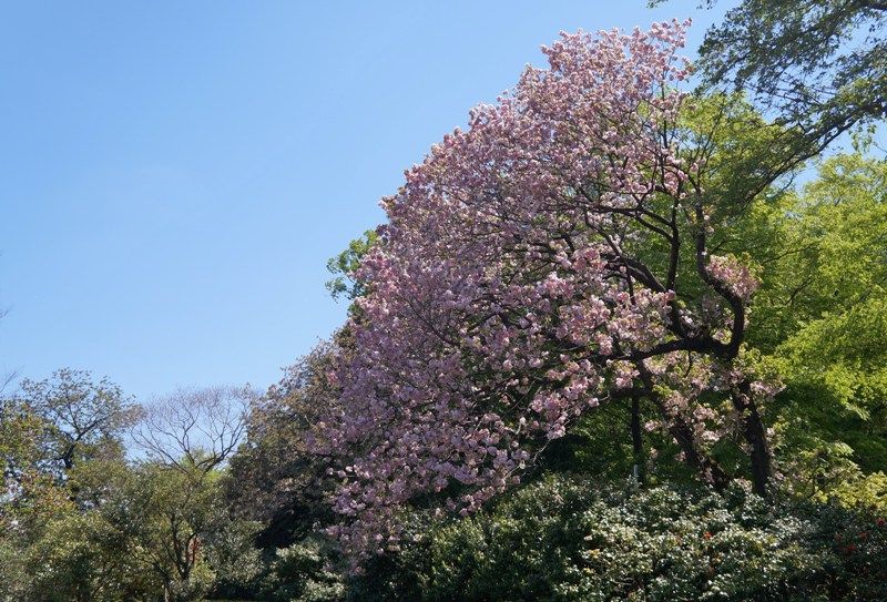イメージ 10