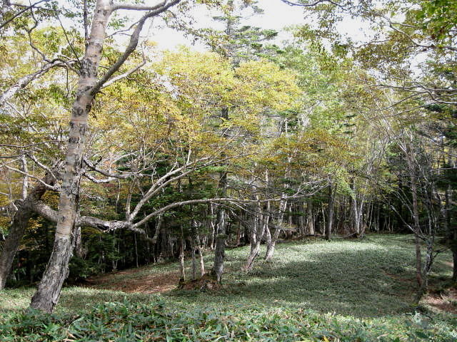 イメージ 10
