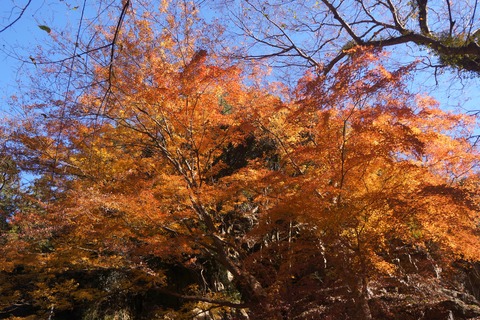 DSC09166