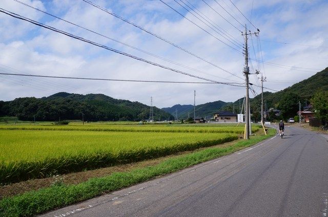 イメージ 15